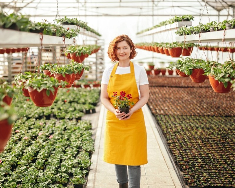 Regional Finance Loans Brokers