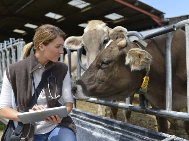 Business Loans_Regional Finance