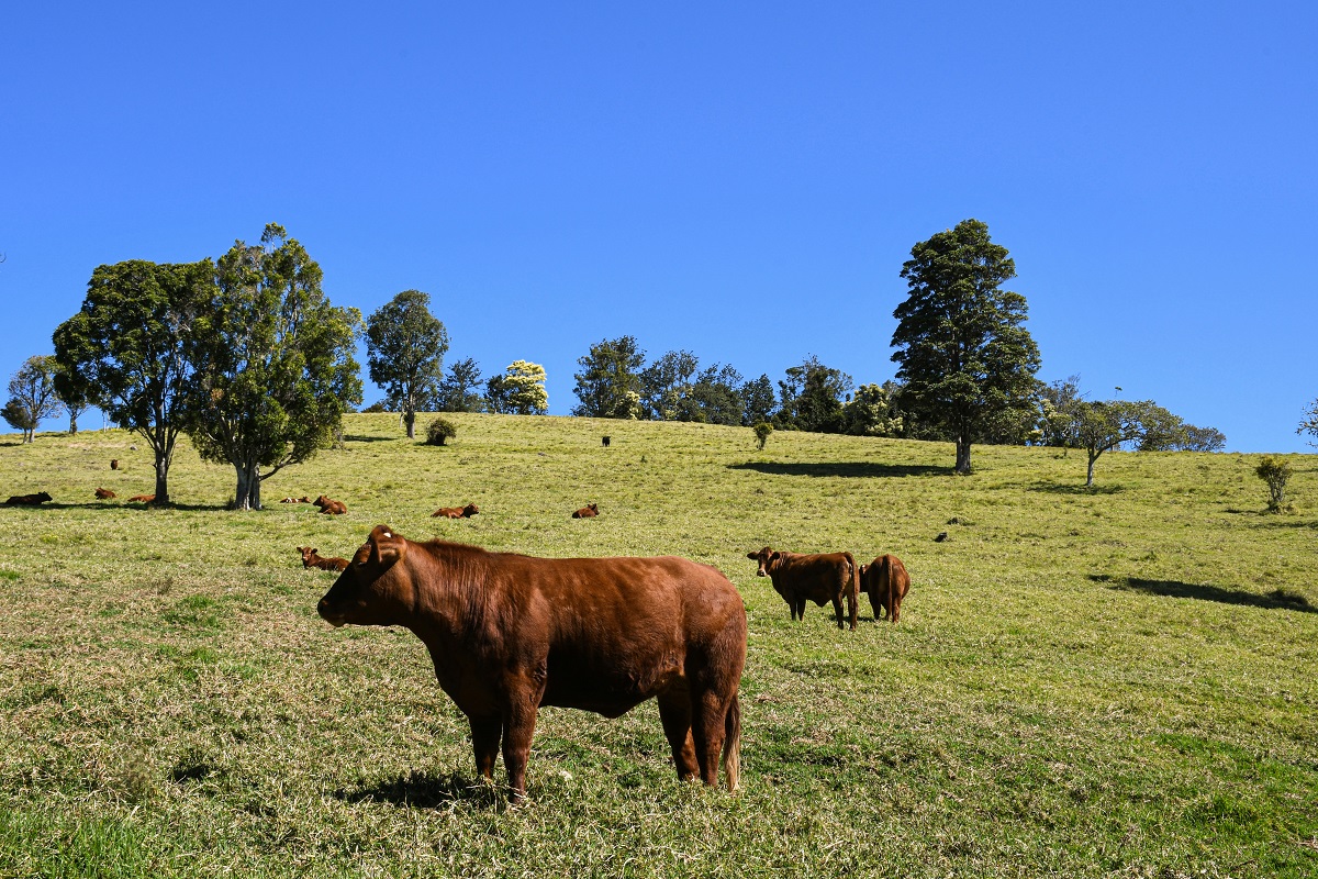 daniel velez kiCnAfwi7uY unsplash