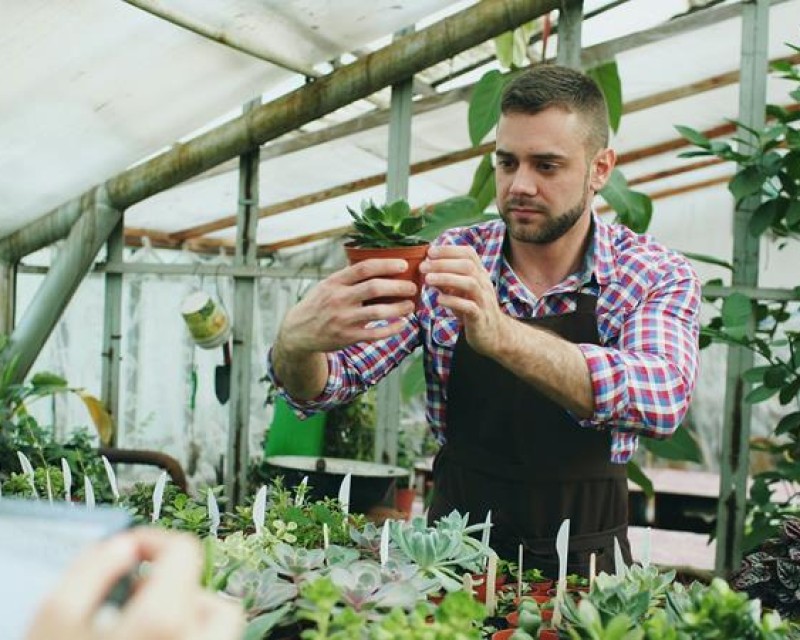 vitaly gariev Mgri0JELjFw unsplash (Copy)