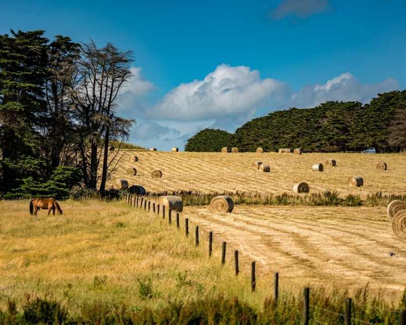 wai siew 1dcgzMo7hJI unsplash