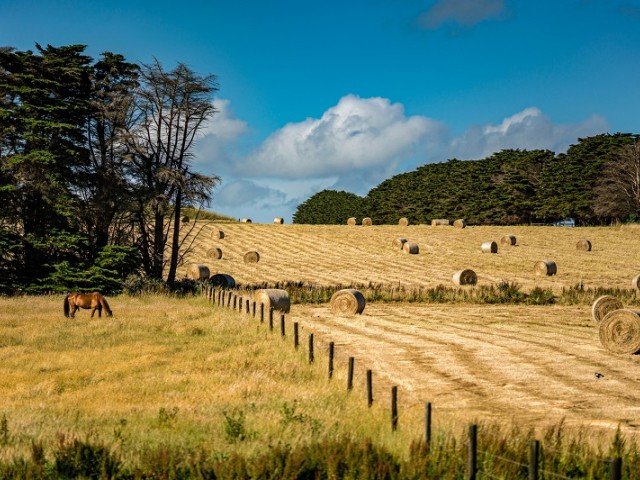 wai siew 1dcgzMo7hJI unsplash