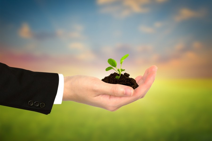 1549254009 environmentally concious banking