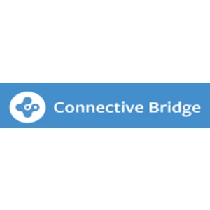 1737426458 Connective Bridge